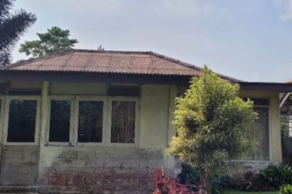 WhatsApp Image 2026-02-05 at 10.42.26 AM.jpeg